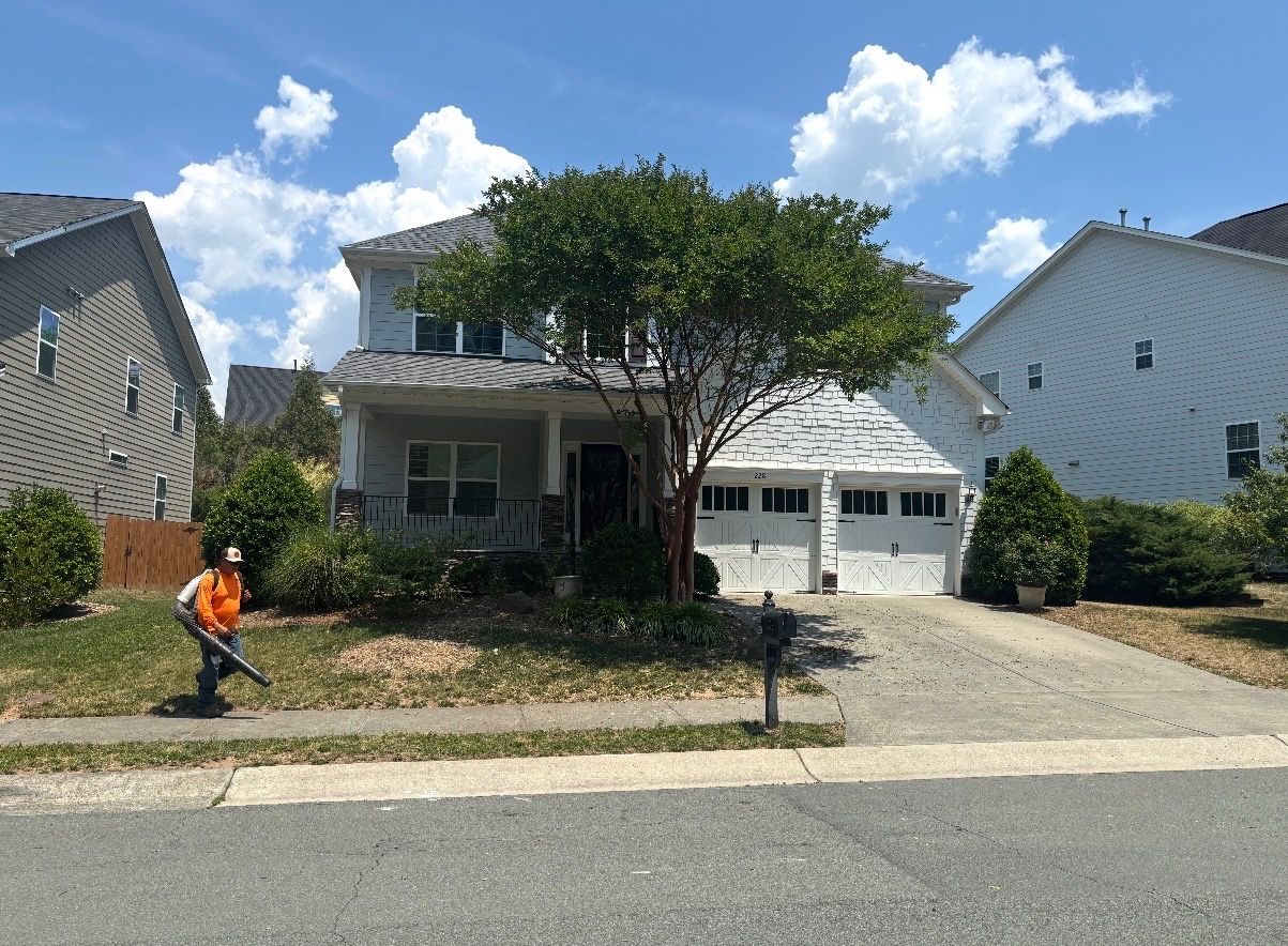 Front yard of a two-story home after the larger shade tree was removed and the remaining tree was lifted for roof and gutter clearance