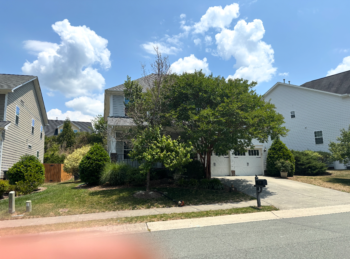 Front yard before tree work, with two mature trees crowding the home's facade and roofline