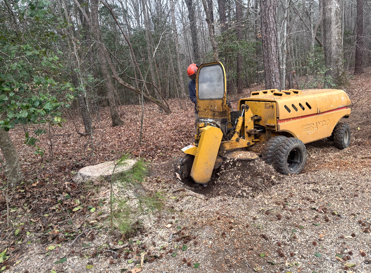 Commercial stump grinder chewing through a hardwood stump in a wooded lot with the operator behind the safety shield