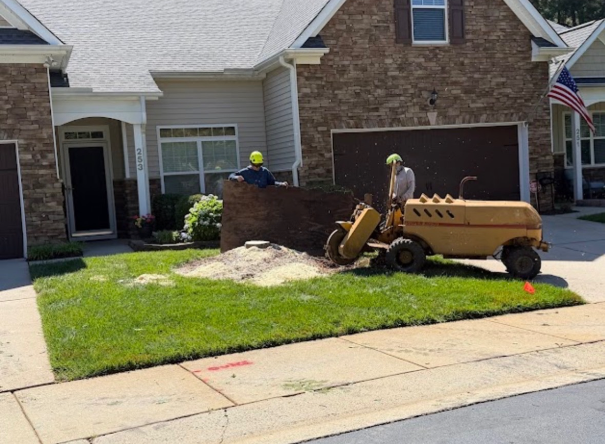 Stump grinder working in a suburban front yard with a debris screen between the cutter and the home