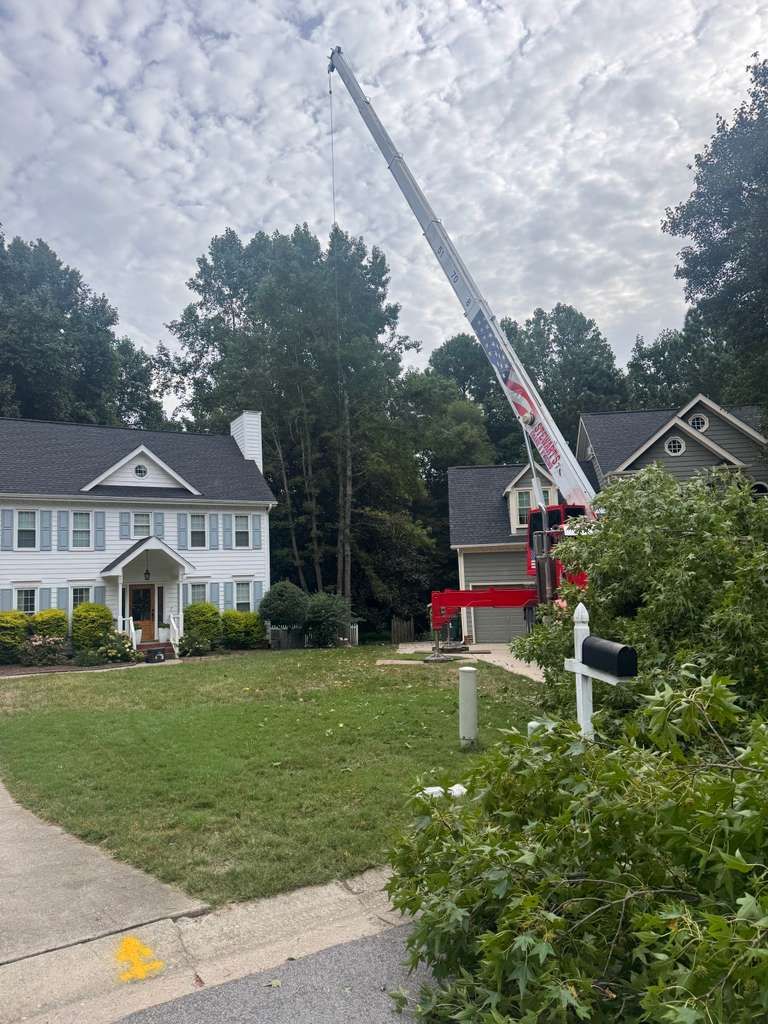A red, white, and blue crane set up between two houses in a residential subdivision for a large tree removal, with fresh cut branches and a fallen mailbox in the foreground